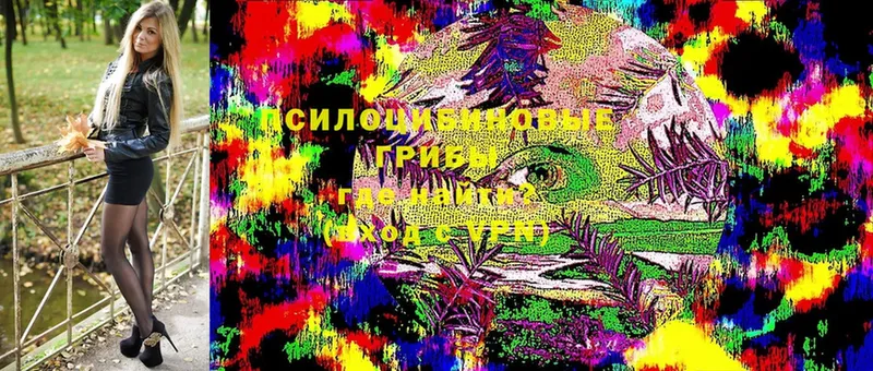 Псилоцибиновые грибы Magic Shrooms  Белогорск 